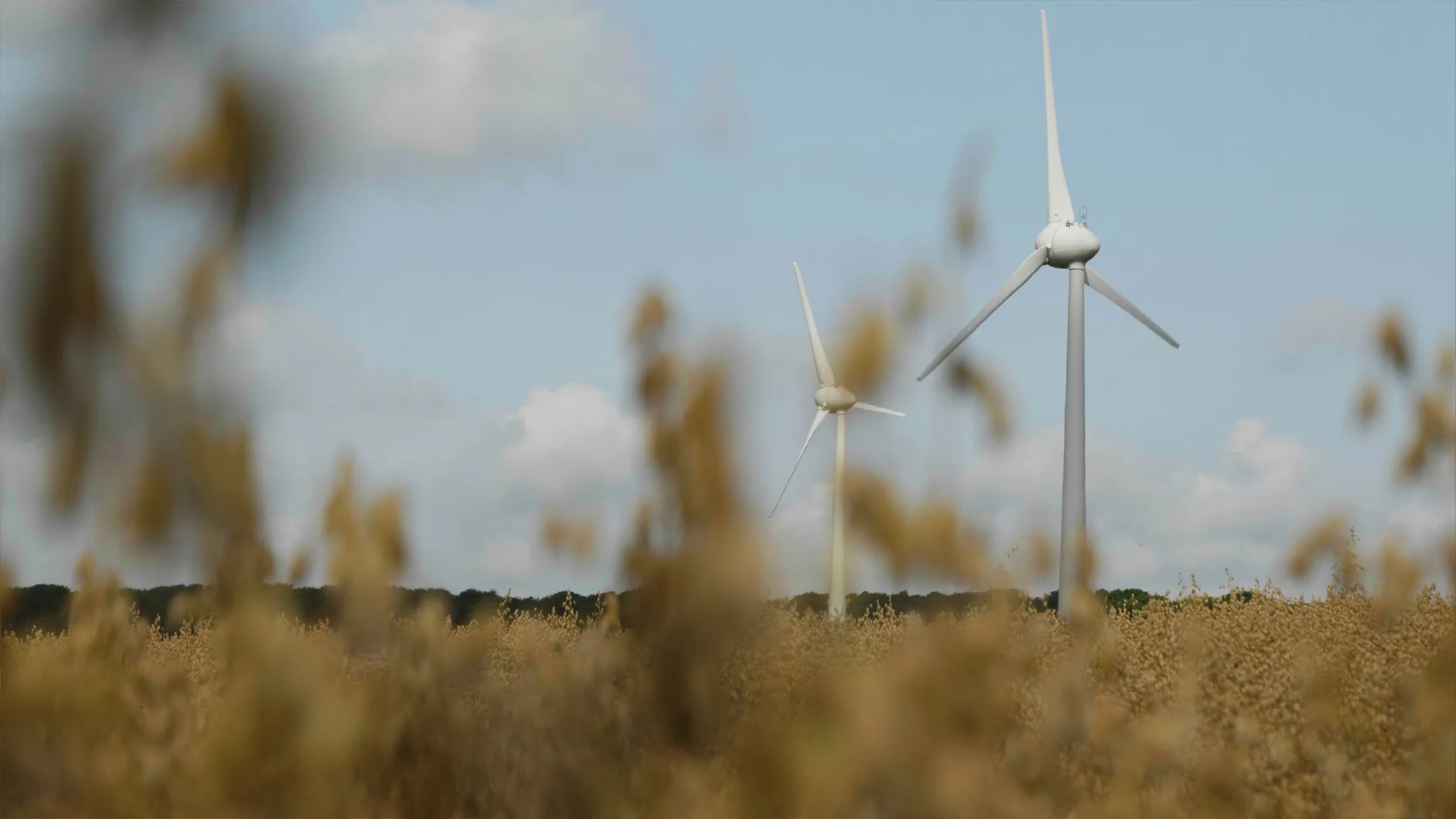 Two wind turbines amidst a field on a sunny day, symbolising renewable energy efforts.